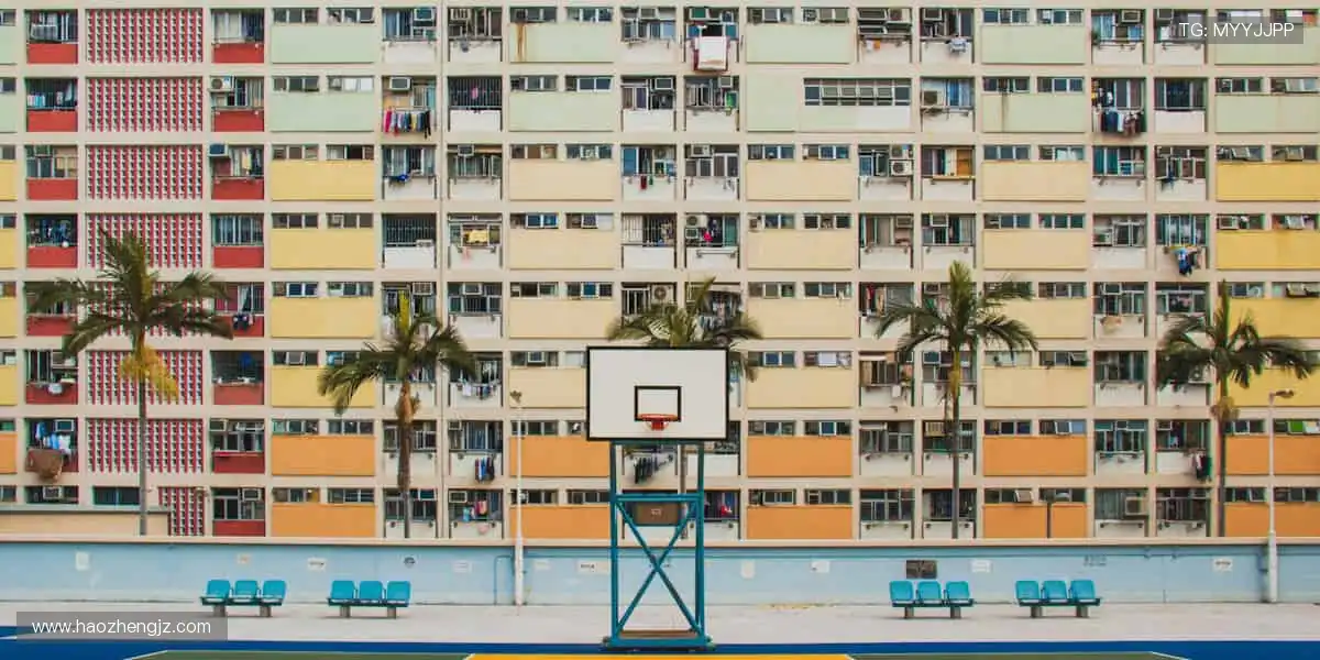 体育周边,冠军同款,你的专属装备库!🏆🎯