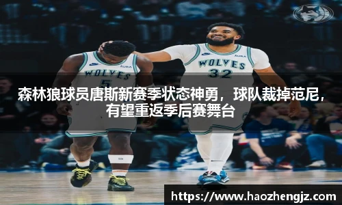 森林狼球员唐斯新赛季状态神勇，球队裁掉范尼，有望重返季后赛舞台